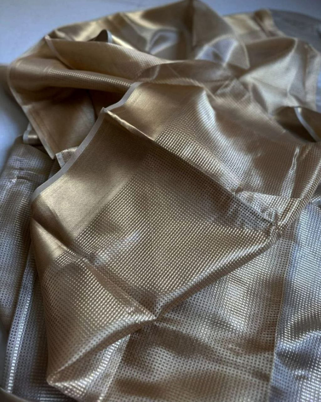 Ambani Nayanthara saree