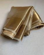 Ambani Nayanthara saree